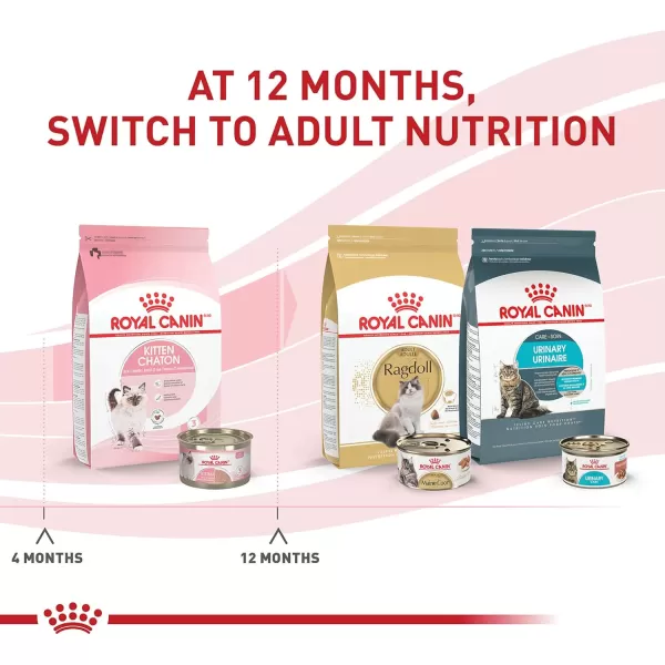 Royal Canin Feline Health Nutrition Kitten Thin Slices in Gravy Canned Cat Food 3 oz can 24count51 Ounce Pack of 24
