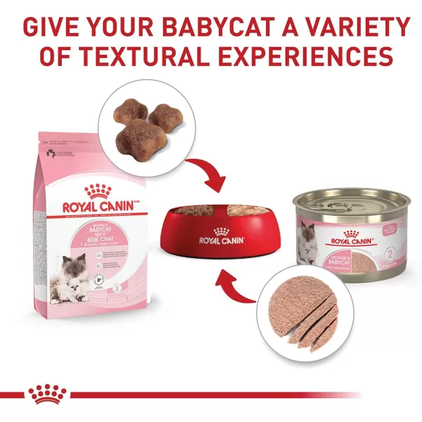 Royal Canin Feline Health Nutrition Mother ampamp Babycat Ultra Soft Mousse in Sauce Canned Cat Food 58 oz canChicken