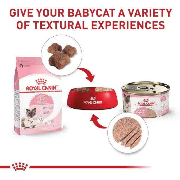 Royal Canin Feline Health Nutrition Mother ampamp Babycat Ultra Soft Mousse in Sauce Canned Cat Food 58 oz canChicken