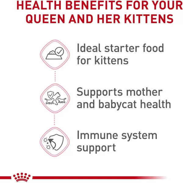 Royal Canin Feline Health Nutrition Mother ampamp Babycat Ultra Soft Mousse in Sauce Canned Cat Food 58 oz canChicken
