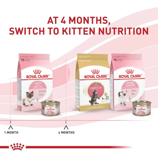 Royal Canin Feline Health Nutrition Mother ampamp Babycat Ultra Soft Mousse in Sauce Canned Cat Food 58 oz canChicken