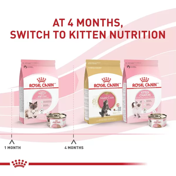 Royal Canin Feline Health Nutrition Mother ampamp Babycat Ultra Soft Mousse in Sauce Canned Cat Food 58 oz canChicken