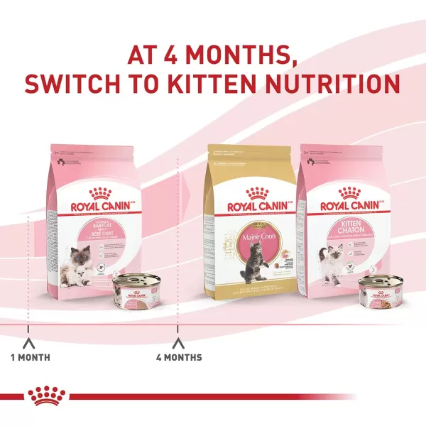 Royal Canin Feline Health Nutrition Mother ampamp Babycat Ultra Soft Mousse in Sauce Canned Cat Food 58 oz canMilk