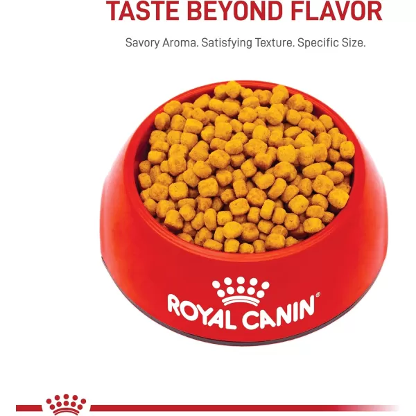 Royal Canin Indoor 7 Adult Dry Cat Food 25 lb bag55 Pound Pack of 1