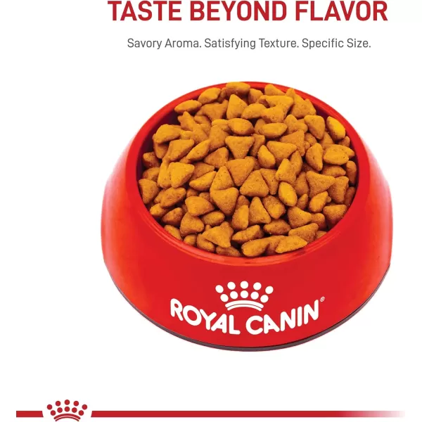 Royal Canin Indoor Adult Dry Cat Food 7 lb3 Pound Pack of 1