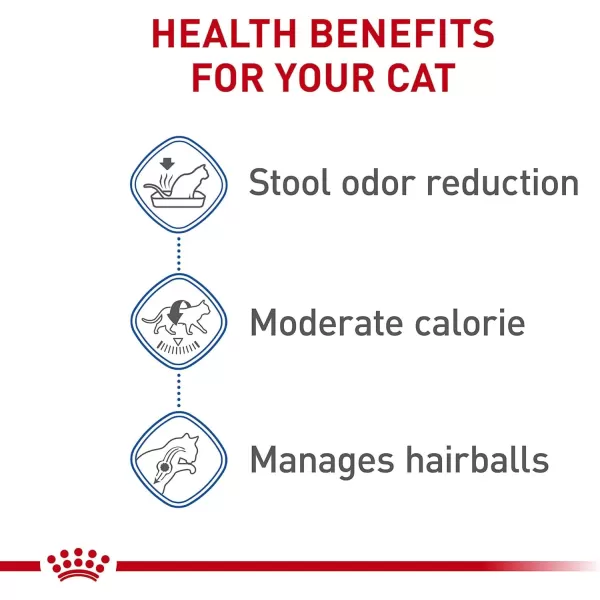 Royal Canin Indoor Adult Dry Cat Food 7 lb3 Pound Pack of 1