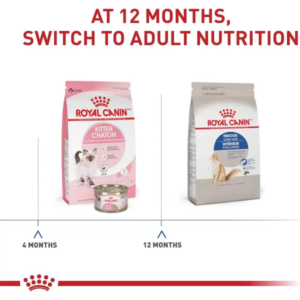 Royal Canin Indoor Long Hair Adult Dry Cat Food 6 lb bag6 Pound Pack of 1