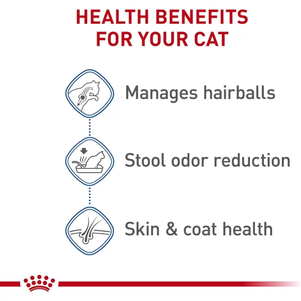 Royal Canin Indoor Long Hair Adult Dry Cat Food 6 lb bag6 Pound Pack of 1