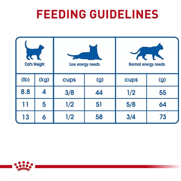 Royal Canin Indoor Long Hair Adult Dry Cat Food 6 lb bag6 Pound Pack of 1