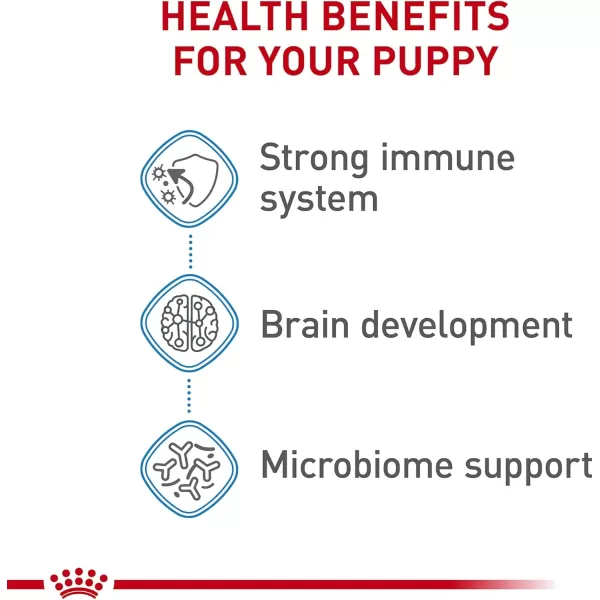 Royal Canin Size Health Nutrition Medium Puppy Dry Dog Food 30 lb bag13 piece set