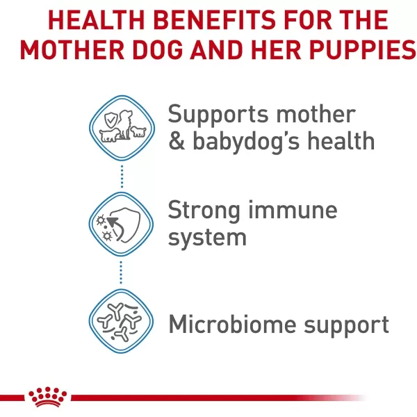Royal Canin Size Health Nutrition Small Starter Mother ampamp Babydog Dry Dog Food 14 lb bag25 Pound Pack of 1