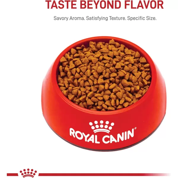 Royal Canin Size Health Nutrition Small Starter Mother ampamp Babydog Dry Dog Food 14 lb bag32 Fl Oz Pack of 1