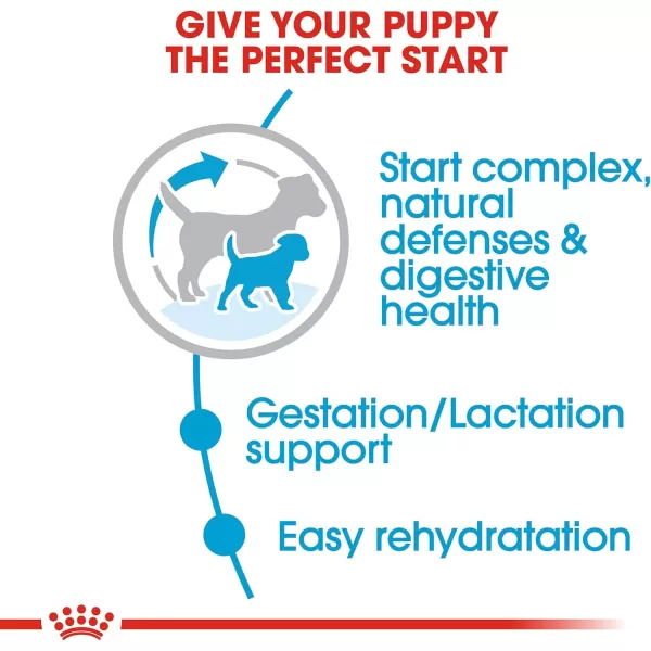Royal Canin Size Health Nutrition Small Starter Mother ampamp Babydog Dry Dog Food 14 lb bag32 Fl Oz Pack of 1