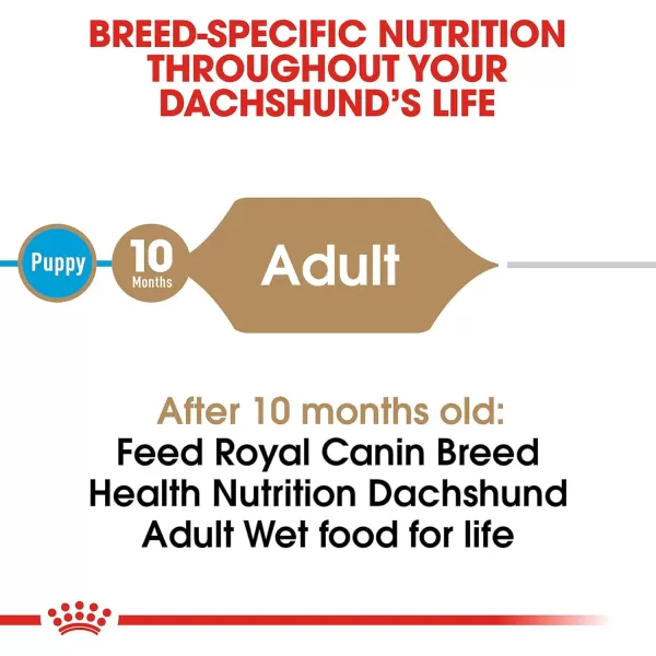 Royal Canin Breed Health Nutrition Dachshund Loaf in Gravy Pouch Dog Food 3 oz Pouch Pack of 12 723085Beef