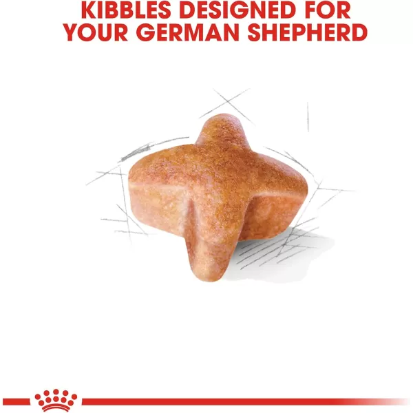 Royal Canin German Shepherd Adult Dry Dog Food 30 lb bag17 Pound Pack of 1