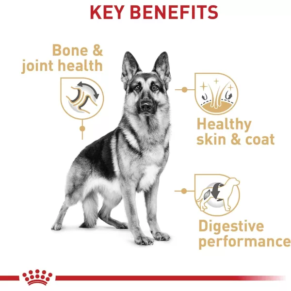 Royal Canin German Shepherd Adult Dry Dog Food 30 lb bag30 Pound Pack of 1