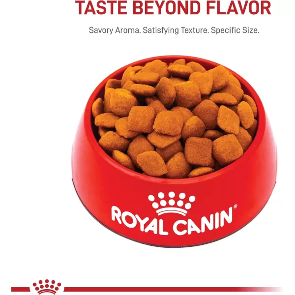 Royal Canin Golden Retriever Adult Dry Dog Food 30 lb bag17 Pound Pack of 1