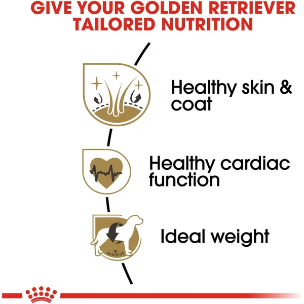 Royal Canin Golden Retriever Adult Dry Dog Food 30 lb bag30 Pound Pack of 1