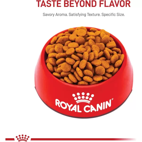Royal Canin Medium Breed Adult Dry Dog Food 17 lb bag30 Pound Pack of 1