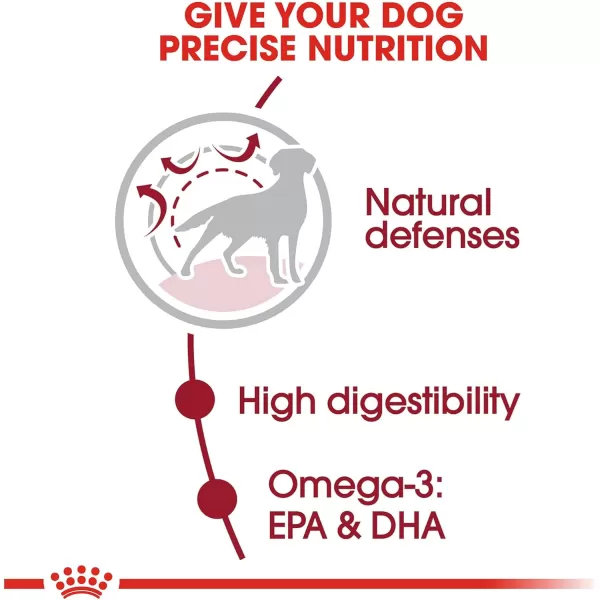 Royal Canin Size Health Nutrition Medium Adult 7 Dry Dog Food 30lb Bag30 Pound Pack of 1