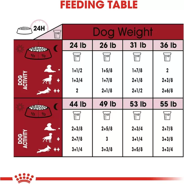 Royal Canin Size Health Nutrition Medium Adult 7 Dry Dog Food 30lb Bag6 Pound Pack of 1