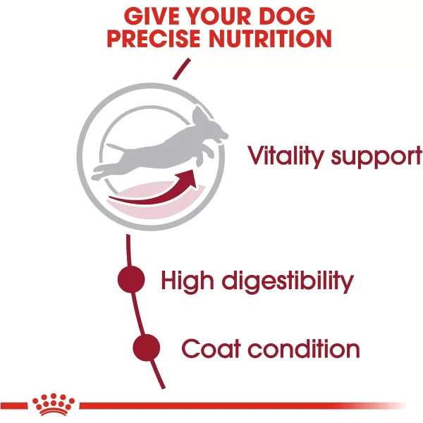 Royal Canin Size Health Nutrition Medium Adult 7 Dry Dog Food 30lb Bag6 Pound Pack of 1