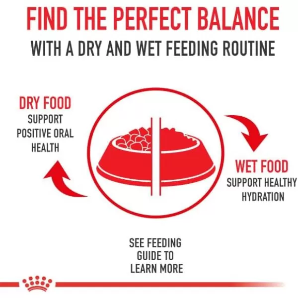 Royal Canin Adult Cat Instinctive Chunks in Gravy Wet Cat Food Pouch 3 oz pouch 12countChunks in Gravy