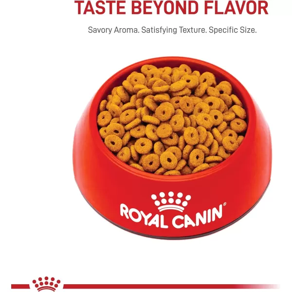 Royal Canin Appetite Control SpayedNeutered Dry Adult Cat Food 6 lb bag14 Pound Pack of 1
