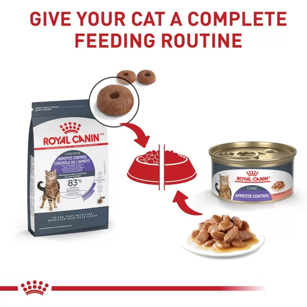 Royal Canin Appetite Control SpayedNeutered Dry Adult Cat Food 6 lb bag3 Ounce Pack of 24