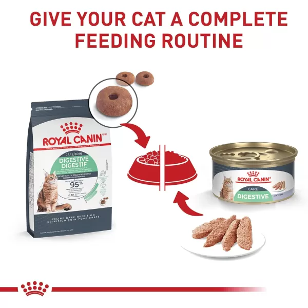 Royal Canin Digestive Care Thin Slices in Gravy Wet Cat Food 3 Ounce Pack of 6  Package May Vary013 Ounce Pack of 24