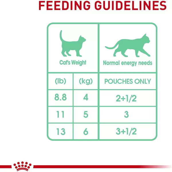 Royal Canin Digestive Care Thin Slices in Gravy Wet Cat Food 3 Ounce Pack of 6  Package May Vary3 Ounce Pack of 12