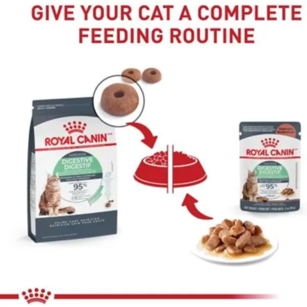 Royal Canin Digestive Care Thin Slices in Gravy Wet Cat Food 3 Ounce Pack of 6  Package May Vary3 Ounce Pack of 12
