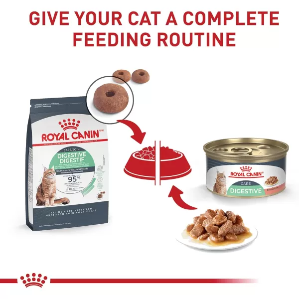 Royal Canin Digestive Care Thin Slices in Gravy Wet Cat Food 3 Ounce Pack of 6  Package May Vary3 Ounce Pack of 6