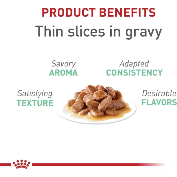 Royal Canin Digestive Care Thin Slices in Gravy Wet Cat Food 3 Ounce Pack of 6  Package May Vary3 Ounce Pack of 6