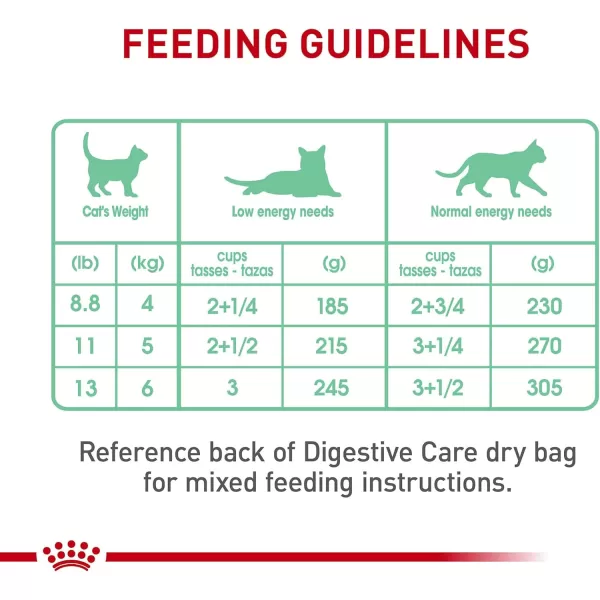 Royal Canin Digestive Care Thin Slices in Gravy Wet Cat Food 3 Ounce Pack of 6  Package May Vary3 Ounce Pack of 6
