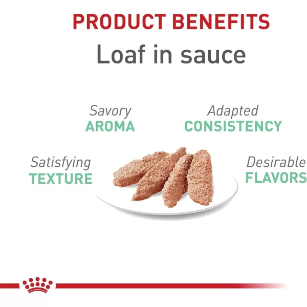 Royal Canin Digestive Care Thin Slices in Gravy Wet Cat Food 3 Ounce Pack of 6  Package May Vary51 Ounce Pack of 24