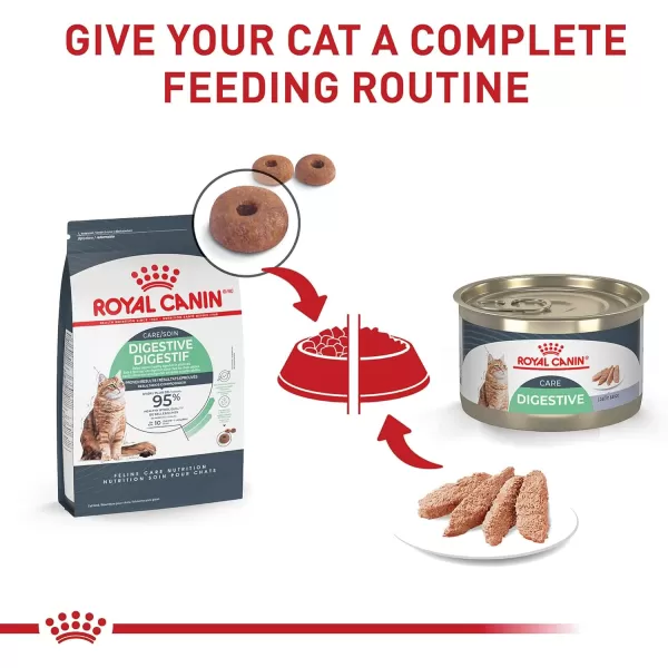 Royal Canin Digestive Care Thin Slices in Gravy Wet Cat Food 3 Ounce Pack of 6  Package May Vary51 Ounce Pack of 24