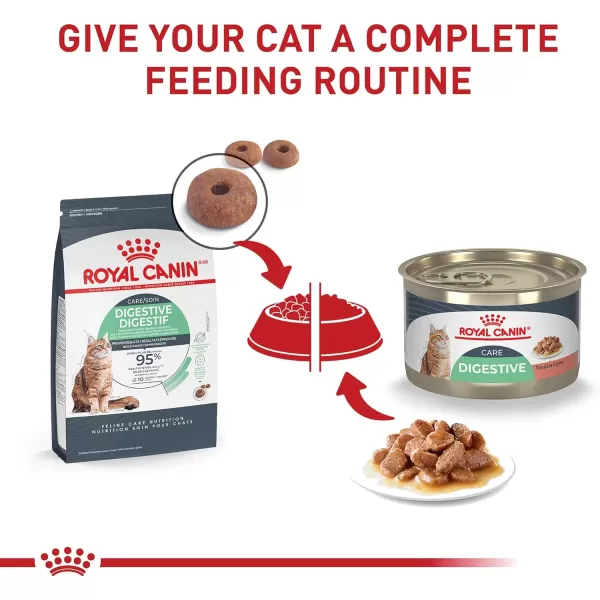 Royal Canin Digestive Care Thin Slices in Gravy Wet Cat Food 3 Ounce Pack of 6  Package May Vary51 Ounce Pack of 24