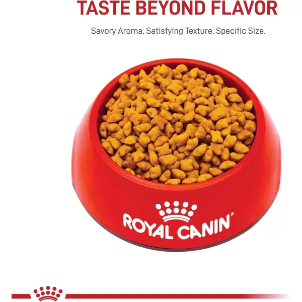 Royal Canin Feline Health Nutrition SpayedNeutered Thin Slices In Gravy Canned Cat Food 3 oz can 24count25 Pound Pack of 1