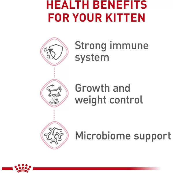 Royal Canin Feline Health Nutrition SpayedNeutered Thin Slices In Gravy Canned Cat Food 3 oz can 24count25 Pound Pack of 1