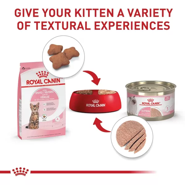Royal Canin Feline Health Nutrition SpayedNeutered Thin Slices In Gravy Canned Cat Food 3 oz can 24count25 Pound Pack of 1