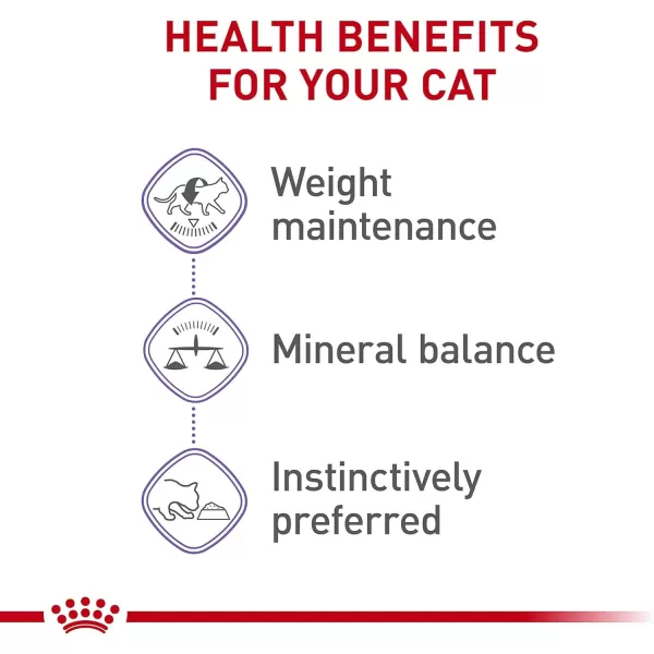Royal Canin Feline Health Nutrition SpayedNeutered Thin Slices In Gravy Canned Cat Food 3 oz can 24count3 Ounce Pack of 24