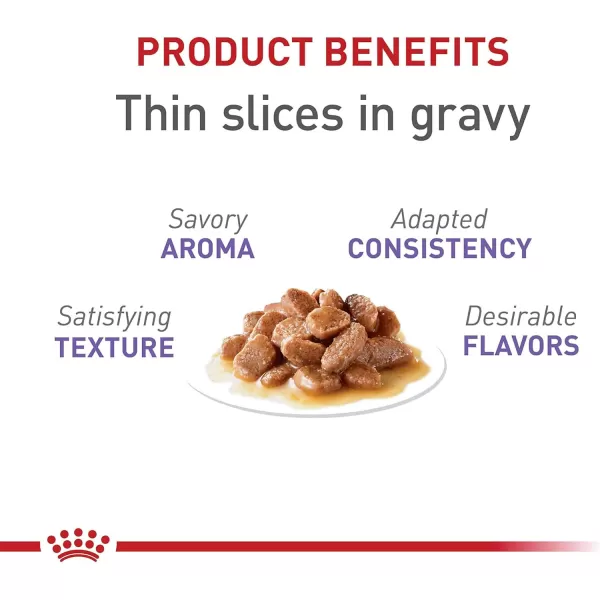 Royal Canin Feline Health Nutrition SpayedNeutered Thin Slices In Gravy Canned Cat Food 3 oz can 24count3 Ounce Pack of 24