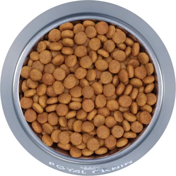 Royal Canin Feline Health Nutrition SpayedNeutered Thin Slices In Gravy Canned Cat Food 3 oz can 24count7 Pound Pack of 1