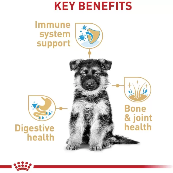 Royal Canin German Shepherd Puppy Breed Specific Dry Dog Food 30 lb bag