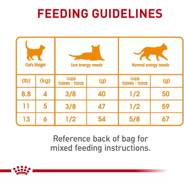 Royal Canin Hair ampamp Skin Care Dry Cat Food 6 lb bag3 Pound Pack of 1