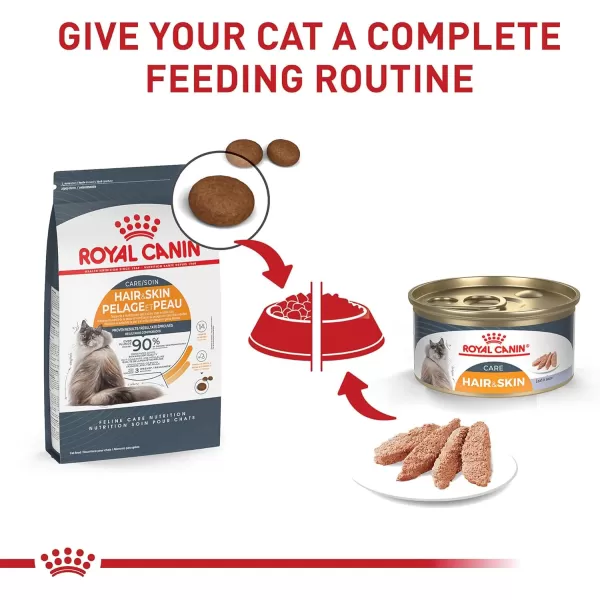 Royal Canin Hair ampamp Skin Care Dry Cat Food 6 lb bag6 Pound Pack of 1
