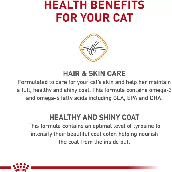 Royal Canin Hair ampamp Skin Care Dry Cat Food 6 lb bag6 Pound Pack of 1