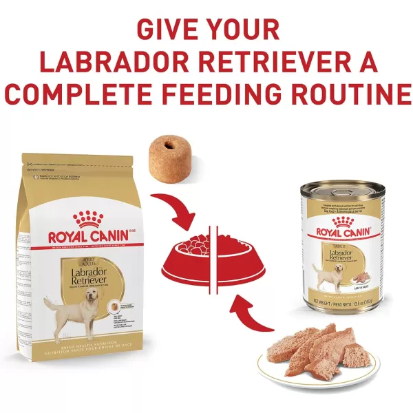 Royal Canin Labrador Retriever Adult Breed Specific Dry Dog Food 17 lb bag17 Pound Pack of 1