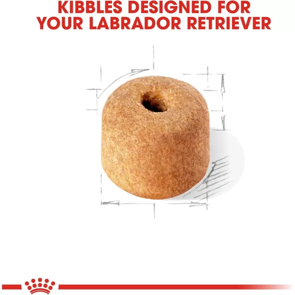 Royal Canin Labrador Retriever Adult Dry Dog Food 30 lb bagChicken